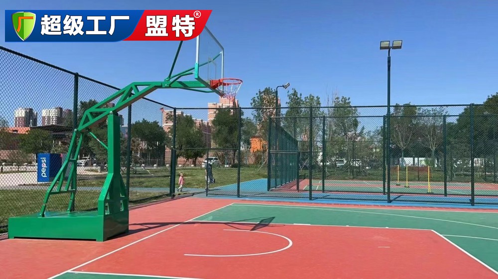 成人赛事篮球架